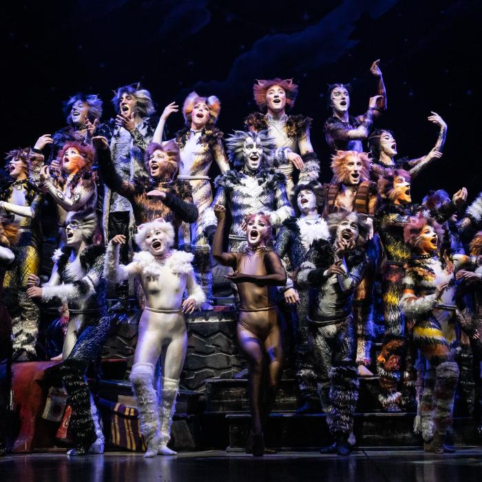 The whole cast of the CATS production on stage