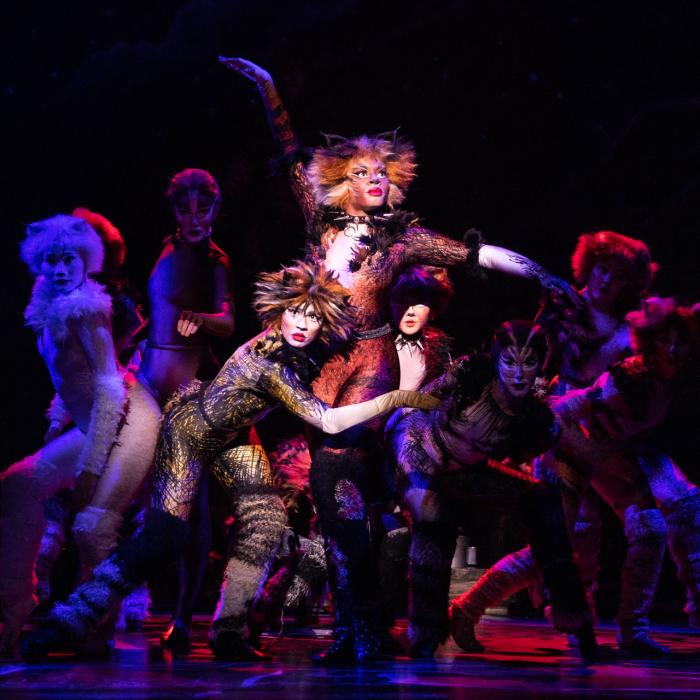 cats musical  Cats musical, Musicals, Cats