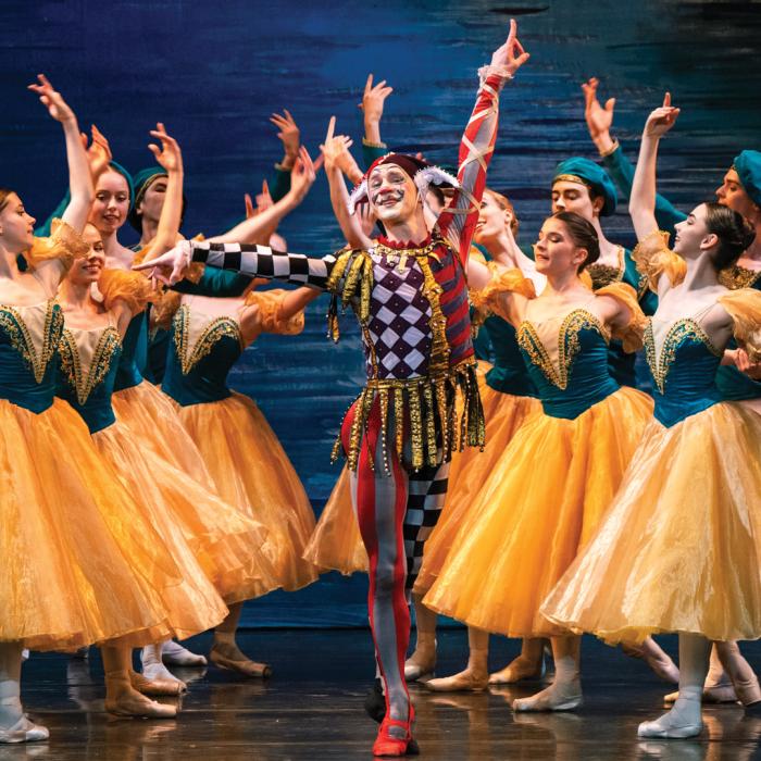 Scene from Swan Lake