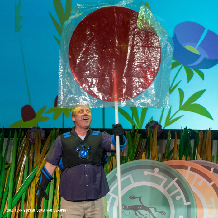 Large Lollipop 