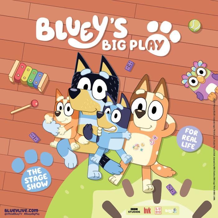 Bluey's Big Play