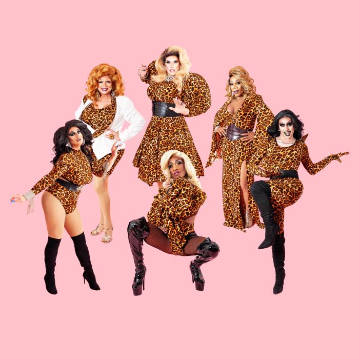 Drag Queens in leopard fabric outfits in various poses.