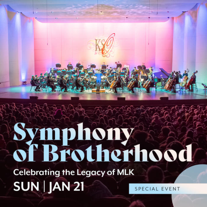 Symphony of Brotherhood Poster